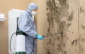 Best Attic Mold Removal  in Purdy, MO